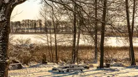 Zima nad jeziorem Dziewiszewskie w Dziewiszowie, styczeń 2024 r. - zdjęcie 13