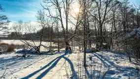 Zima nad jeziorem Dziewiszewskie w Dziewiszowie, styczeń 2024 r. - zdjęcie 19