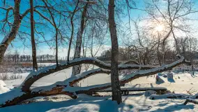 Zima nad jeziorem Dziewiszewskie w Dziewiszowie, styczeń 2024 r. - zdjęcie 20