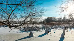 Zima nad jeziorem Dziewiszewskie w Dziewiszowie, styczeń 2024 r. - zdjęcie 40