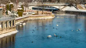 Pisz w zimowej scenerii, styczeń 2024 r. - zdjęcie 14