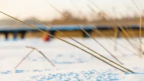 Jezioro Tajty i wieś Wrony przed zachodem słońca, styczeń 2024 r. - zdjęcie 32