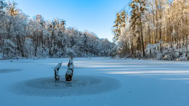 Zimowa rzeka Dajna niedaleko Wilkowa, styczeń 2024 r.