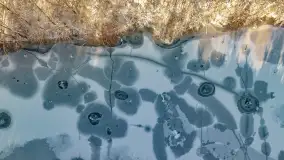 Zimowa rzeka Dajna niedaleko Wilkowa, styczeń 2024 r. - zdjęcie 15