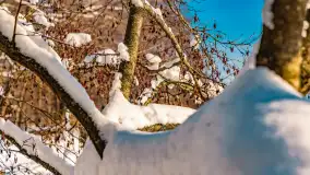 Zimowe jezioro Gołdopiwo w okolicach Przerwanek, styczeń 2024 r. - zdjęcie 42