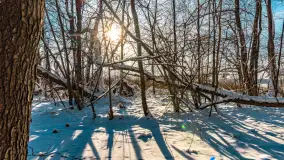 Zimowe jezioro Gołdopiwo w okolicach Przerwanek, styczeń 2024 r. - zdjęcie 34