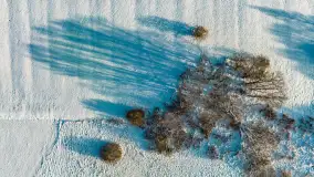 Zimowe jezioro Gołdopiwo w okolicach Przerwanek, styczeń 2024 r. - zdjęcie 39