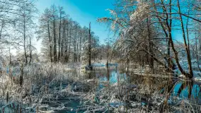 Zima nad rzeką Dajna, witajcie na bajecznych Mazurach, styczeń 2024 r. - zdjęcie 49