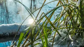 Zima nad rzeką Dajna, witajcie na bajecznych Mazurach, styczeń 2024 r. - zdjęcie 50