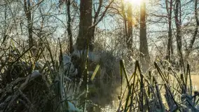 Zima nad rzeką Dajna, witajcie na bajecznych Mazurach, styczeń 2024 r. - zdjęcie 32