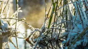 Zima nad rzeką Dajna, witajcie na bajecznych Mazurach, styczeń 2024 r. - zdjęcie 21