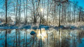 Zima nad rzeką Dajna, witajcie na bajecznych Mazurach, styczeń 2024 r. - zdjęcie 6