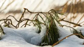 Biwak ekipy Mazury24 nad jeziorem Kruklin, styczeń 2024 r. - zdjęcie 5