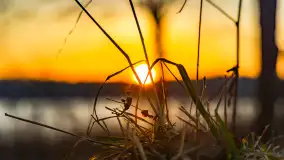 Wschód słońca z resztkami zimy nad jeziorem Siercze, styczeń 2024 r. - zdjęcie 36