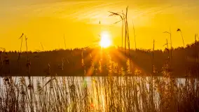 Wschód słońca z resztkami zimy nad jeziorem Siercze, styczeń 2024 r. - zdjęcie 6