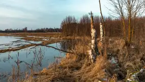 Mazurski zachód słońca odbity w rozlewiskach, luty 2024 r. - zdjęcie 20