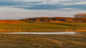 Zachód i rozlewiska przy Karolewie, luty 2024 r. - zdjęcie 2