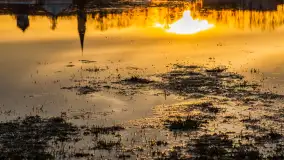 Zachód i rozlewiska przy Karolewie, luty 2024 r. - zdjęcie 27