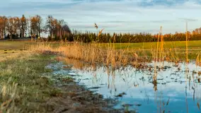 Zachód i rozlewiska przy Karolewie, luty 2024 r. - zdjęcie 10