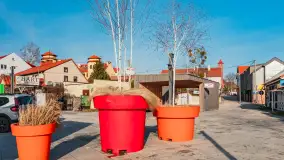 Spokojne Mikołajki w lutowe popołudnie - zdjęcie 24