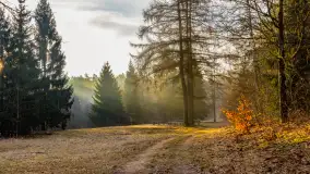 Wschód słońca nad jeziorem Wydmińskim, luty 2024 r. - zdjęcie 3