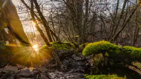 Wschód słońca nad jeziorem Wydmińskim, luty 2024 r. - zdjęcie 14