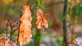 Wschód słońca nad jeziorem Wydmińskim, luty 2024 r. - zdjęcie 17