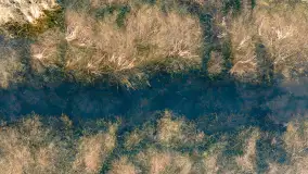 Przedwiośnie i mazurskie rozlewiska na polach i łąkach, luty 2024 r. - zdjęcie 34