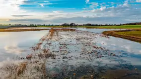 Przedwiośnie i mazurskie rozlewiska na polach i łąkach, luty 2024 r. - zdjęcie 28