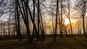 Zachód słońca nad Niegocinem, luty 2024 r. - zdjęcie 9