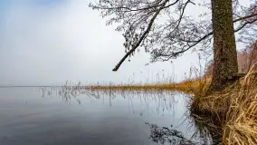 Mgliste Mazury, luty 2024 r. - zdjęcie 7