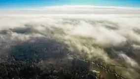 Mgliste Mazury, luty 2024 r. - zdjęcie 40