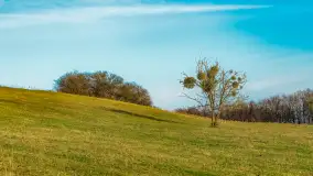 Przed zachodem słońca nad jeziorem Grajewko, luty 2024 r. - zdjęcie 35