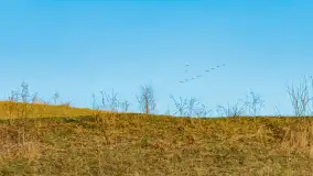 Przed zachodem słońca nad jeziorem Grajewko, luty 2024 r. - zdjęcie 27