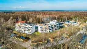 Mazury z drona przy jeziorze Kisajno, luty 2024 r. - zdjęcie 19