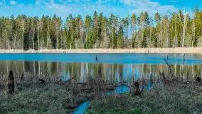 Jezioro Jagoczany, przedwiośnie, marzec 2024 r.  - zdjęcie 40