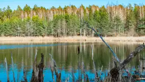 Jezioro Jagoczany, przedwiośnie, marzec 2024 r.  - zdjęcie 7