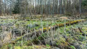 Jezioro Jagoczany, przedwiośnie, marzec 2024 r.  - zdjęcie 5