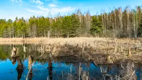 Jezioro Jagoczany, przedwiośnie, marzec 2024 r.  - zdjęcie 37