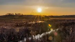 Zachód słońca nad stawami w Martianach, marzec 2024 r. - zdjęcie 16