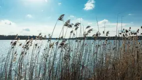 Przygotowania do sezonu w porcie Bogaczewo, marzec 2024 r. - zdjęcie 18