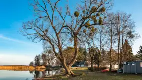 Porty w Wilkasach i jezioro Niegocin pod koniec lutego, 2024 r. - zdjęcie 4