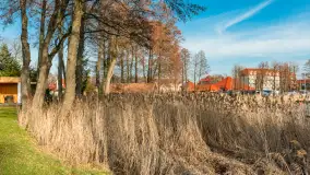 Przedwiośnie w Strandzie w Giżycku, luty 2024 r. - zdjęcie 21