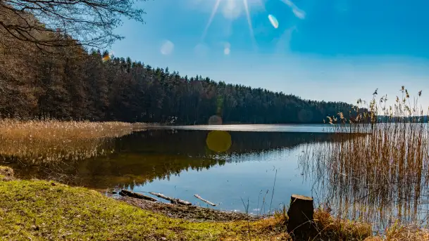 Marcowy dzień nad zatoką Skonał - zdjęcie 6