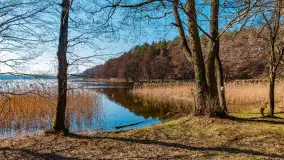 Marcowy dzień nad zatoką Skonał - zdjęcie 1