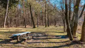 Marcowy dzień nad zatoką Skonał - zdjęcie 21