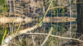 Marcowy dzień nad zatoką Skonał - zdjęcie 28