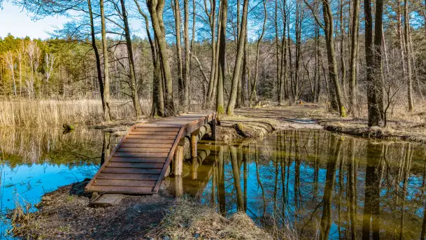 Marcowy dzień nad zatoką Skonał - zdjęcie 7