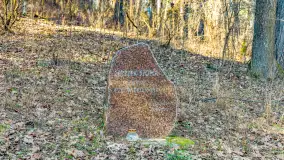 Marcowy dzień nad zatoką Skonał - zdjęcie 32