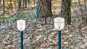 Marcowy dzień nad zatoką Skonał - zdjęcie 34